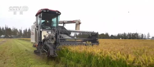 新技术助力现代循环农业高质量发展 种粮三变，田地里长出希望