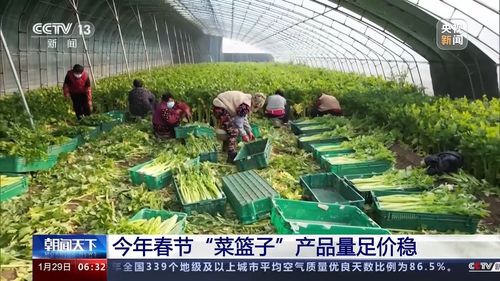 农业技术开发助力菜篮子产品量足价稳，农业农村部力保春节供应