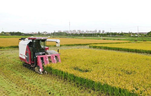 主播说联播丨科技加持，让农业发展更有“机”遇