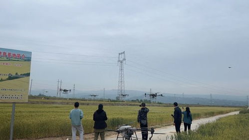 高质高效农产品绿色集成技术 驱动铜川市特色现代农业高质量发展的核心引擎