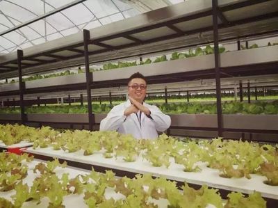 南软星光 | 曼哈都市田园 科技赋能，打造高营养放心蔬菜的绿色革命