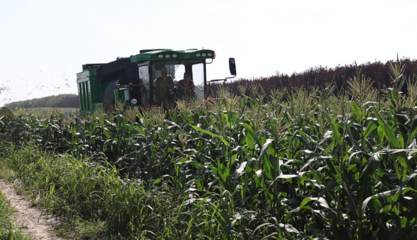 哈尔滨市平房镇 “三链”绘就乡村振兴新图景，农业技术开发谱写“十四五”收官年田野新答卷