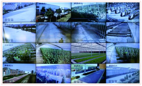 数字农业 技术赋能下的农业新生态