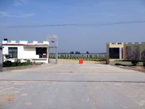 南乐县图马农业科技 现代农业技术开发的领跑者