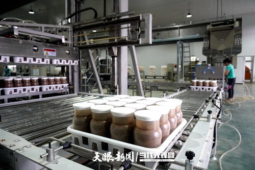 贞丰 探索农业工业化、工厂化、规模化发展新路径，驱动农业技术开发创新