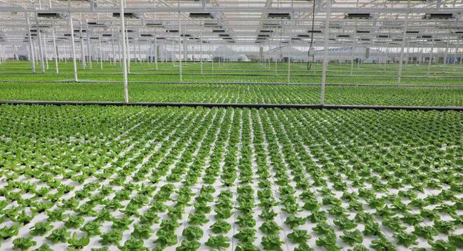 政策东风已至 设施农业与农业技术开发迎来黄金时代