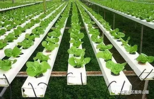 房山农业技术开发成果获市级认证，成为北京市首批三地之一